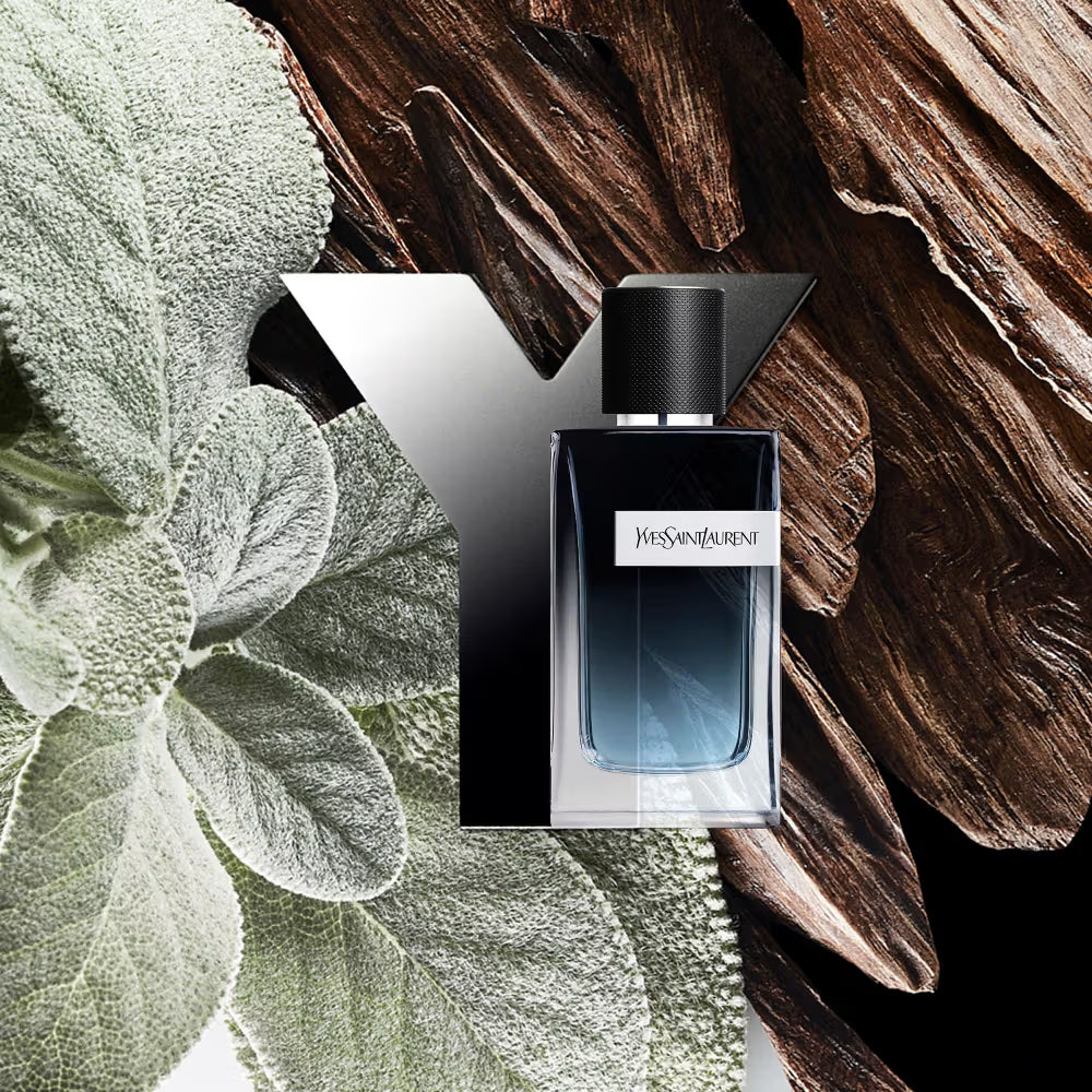 YSL Y 100ML EDP