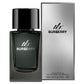 MR. BURBERRY 100ML EDP